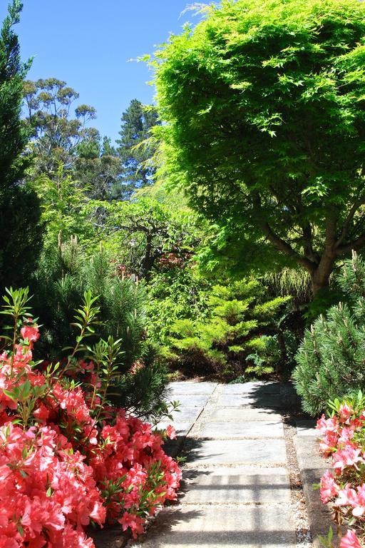 Winston Cottage At Three Sisters Katoomba Zewnętrze zdjęcie