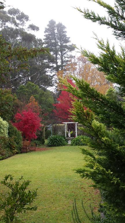 Winston Cottage At Three Sisters Katoomba Zewnętrze zdjęcie