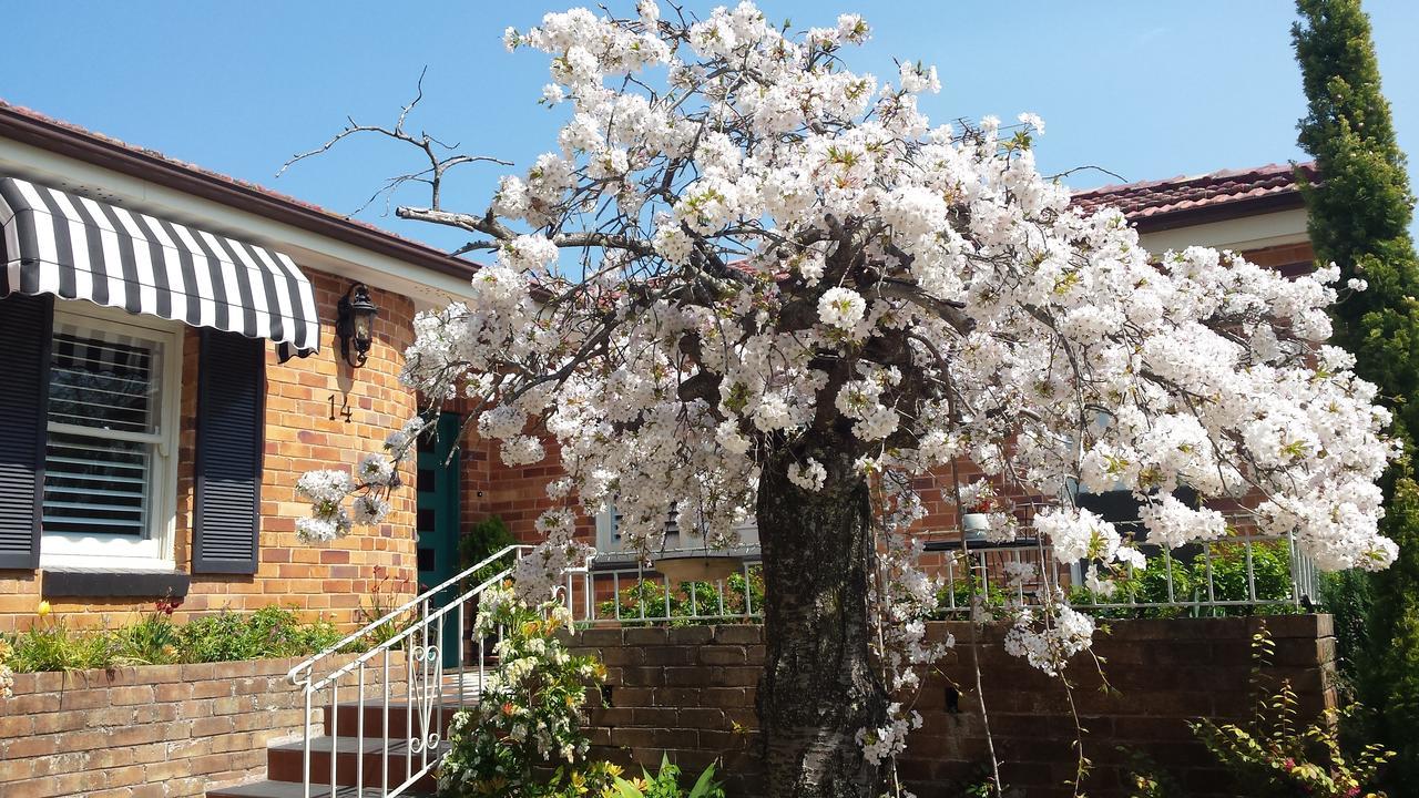 Winston Cottage At Three Sisters Katoomba Zewnętrze zdjęcie