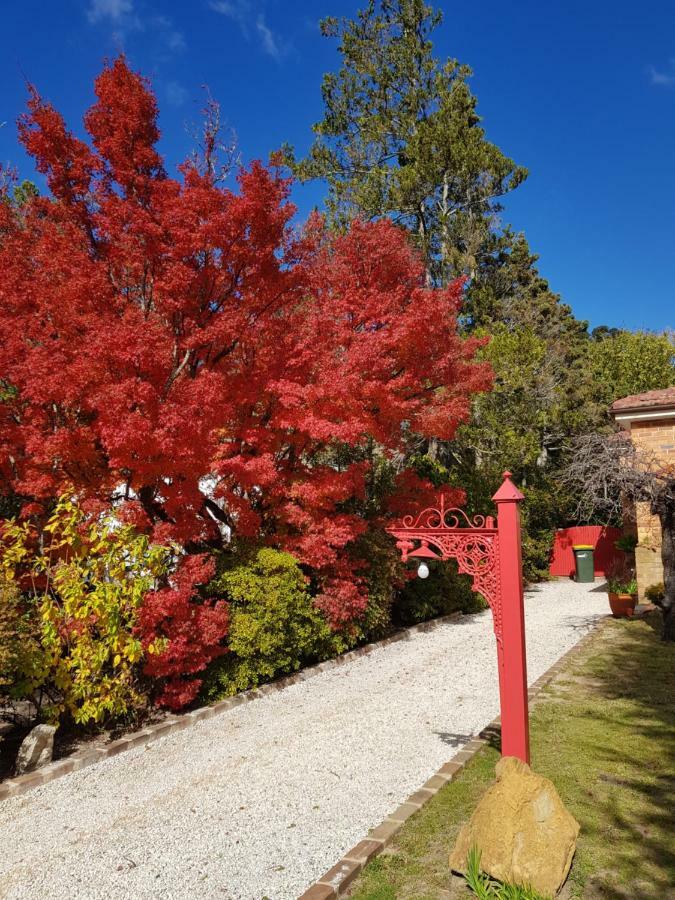 Winston Cottage At Three Sisters Katoomba Zewnętrze zdjęcie